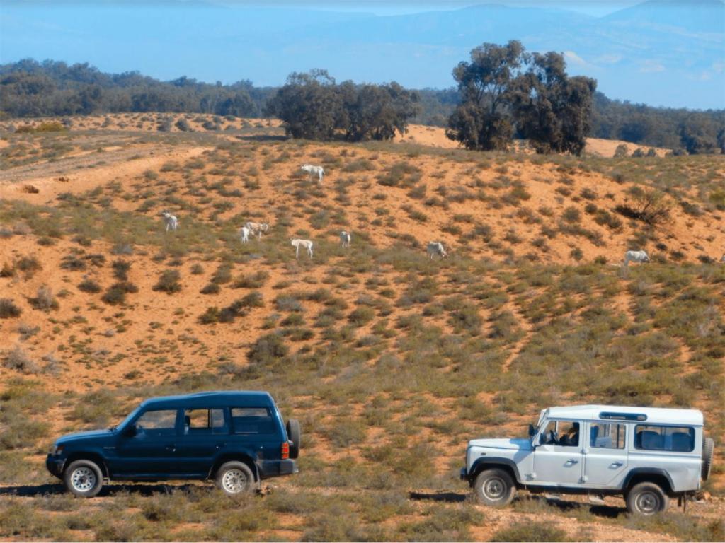 Camping Wassay Beach Sidi Ouassay Dış mekan fotoğraf